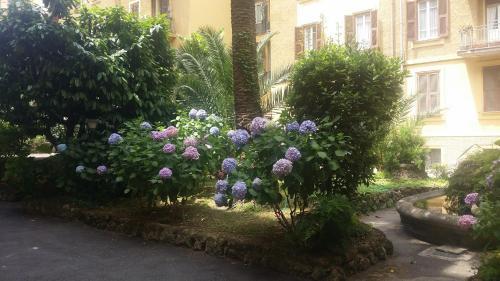 Fotos del hotel - FIOCCA B&B