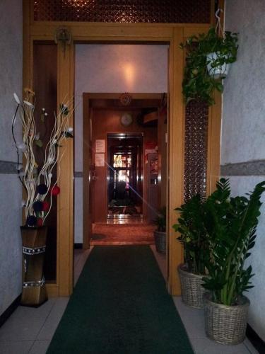 Fotos del hotel - Hotel Acapulco