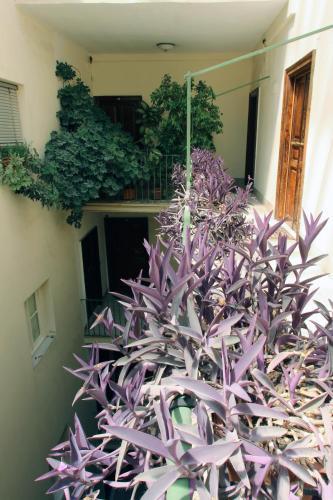Fotos del hotel - SUITE ROME