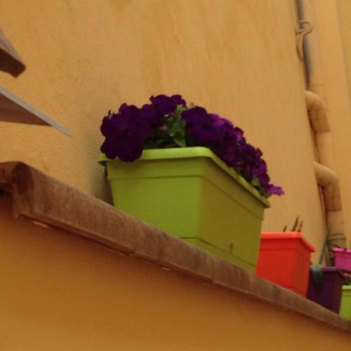 Fotos del hotel - Cosy House