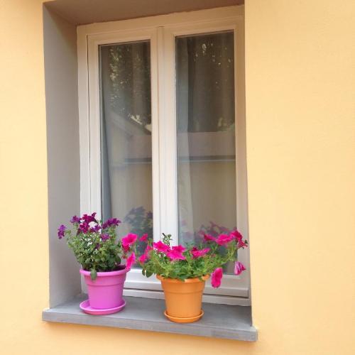 Fotos del hotel - Cosy House