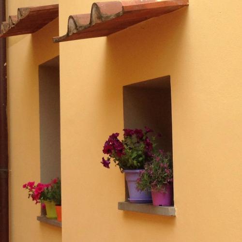 Fotos del hotel - Cosy House