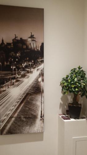 Fotos del hotel - Domus Barberini