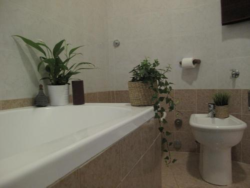 Fotos del hotel - Arches Inn