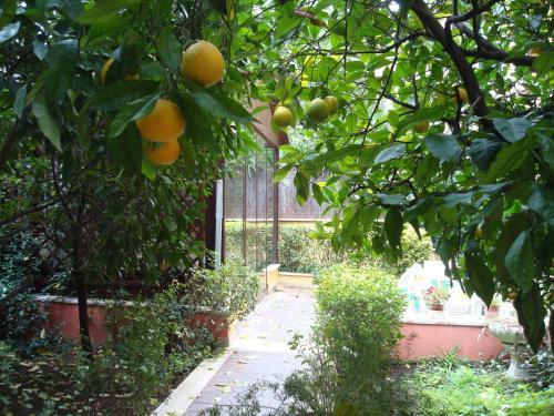 Fotos del hotel - Gioia Bed and Breakfast