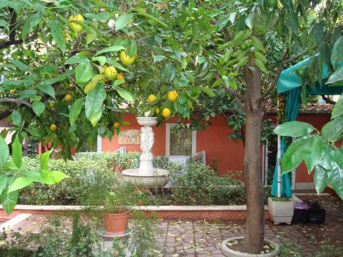Fotos del hotel - Gioia Bed and Breakfast