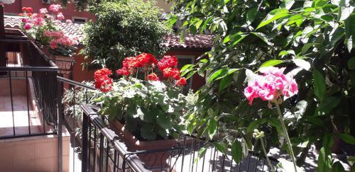 Fotos del hotel - Gioia Bed and Breakfast