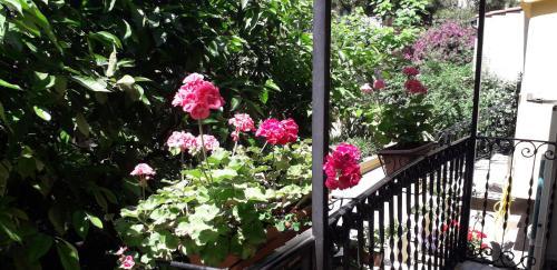 Fotos del hotel - Gioia Bed and Breakfast
