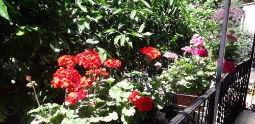 Fotos del hotel - Gioia Bed and Breakfast