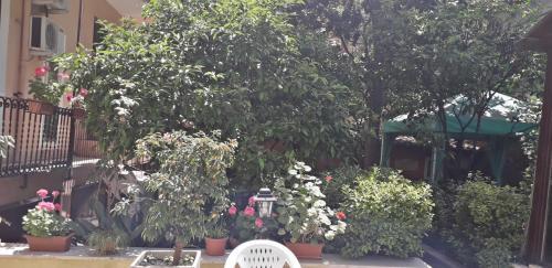 Fotos del hotel - Gioia Bed and Breakfast