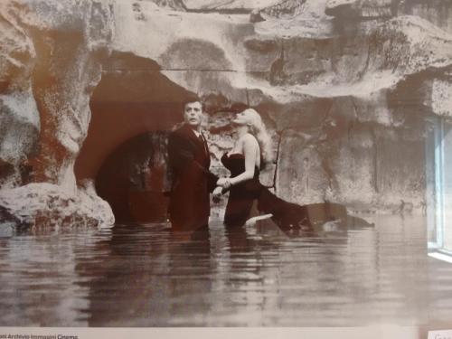 Fotos del hotel - B&B Anni 50
