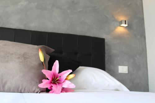 Fotos del hotel - Windows on Rome