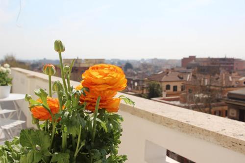 Fotos del hotel - Windows on Rome