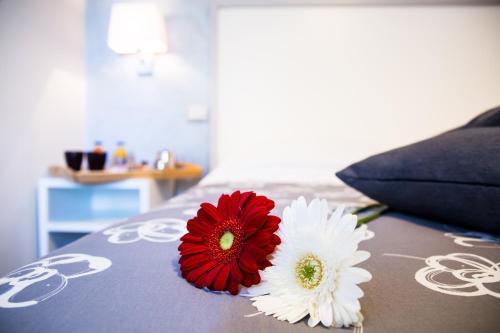 Fotos del hotel - Modern BnB