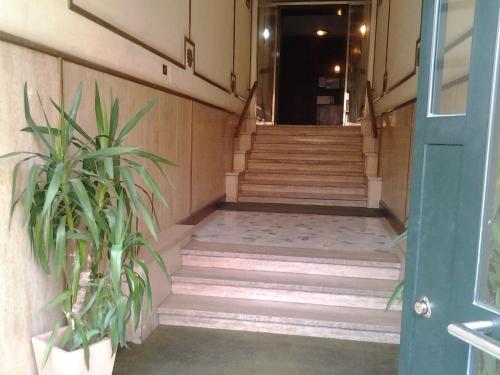 Fotos del hotel - Colosseoinn