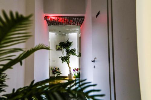 Fotos del hotel - CAROLINE ROOMS ROME