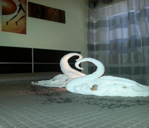 Fotos del hotel - Avec Moi Roma