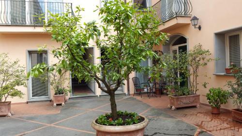 Fotos del hotel - PALAZZO VIRGINIO