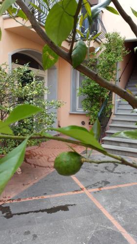 Fotos del hotel - PALAZZO VIRGINIO