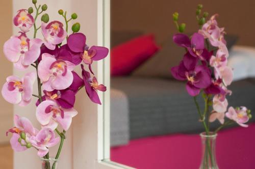 Fotos del hotel - B&B Just Rome