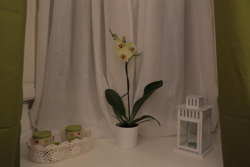 Fotos del hotel - DOMUS HORATIO