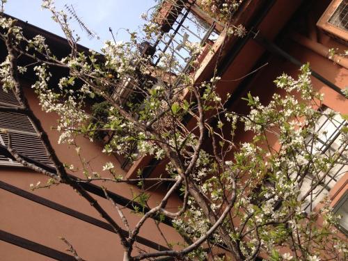 Fotos del hotel - B&B Fiori di Grano