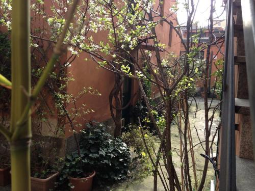 Fotos del hotel - B&B Fiori di Grano