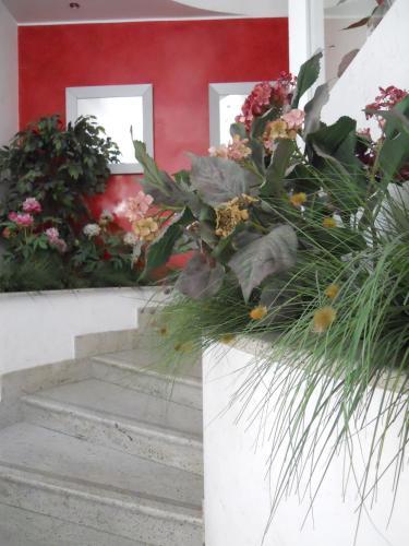 Fotos del hotel - Hotel Parma