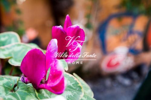 Fotos del hotel - Villa della Fonte