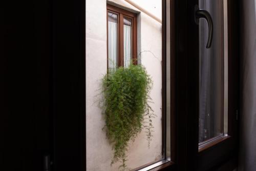 Fotos del hotel - B&B Giorni Dipinti