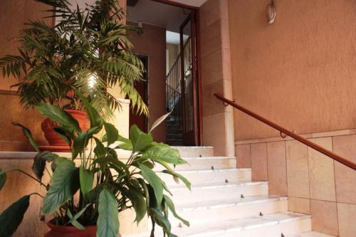 Fotos del hotel - Sweet Dreams in St Peter B&b