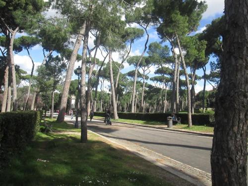 Fotos del hotel - LAZIO ELEGANCE SUITE