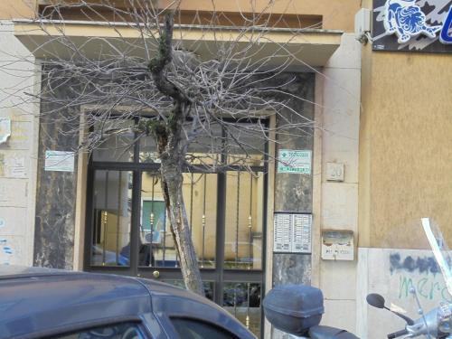 Fotos del hotel - B&B DIVINA ROMA