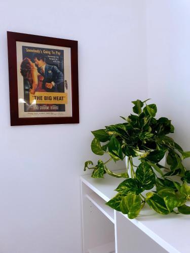 Fotos del hotel - NEW ROME HOUSE
