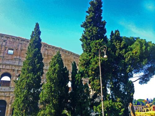 Fotos del hotel - MICLAD Colosseum Guest House