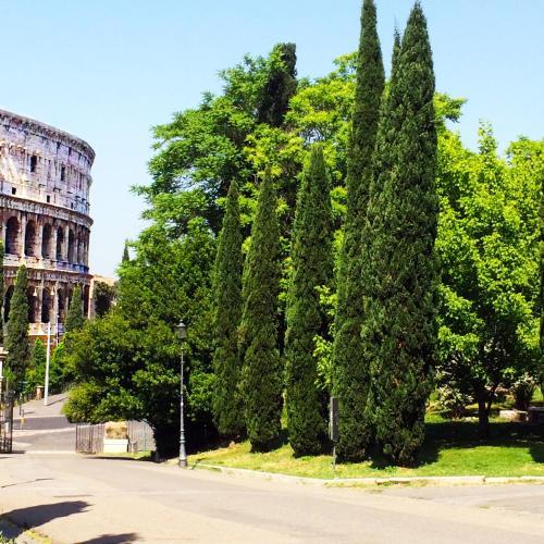 Fotos del hotel - MICLAD Colosseum Guest House
