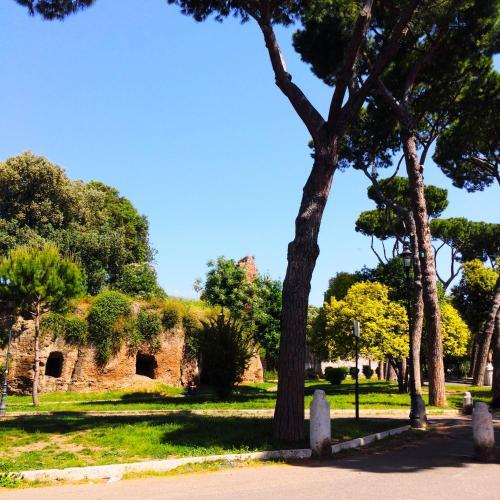 Fotos del hotel - MICLAD Colosseum Guest House