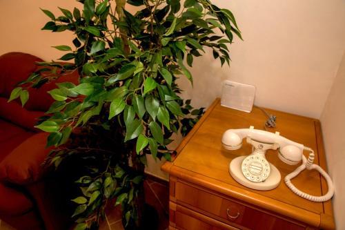 Fotos del hotel - MICLAD Colosseum Guest House