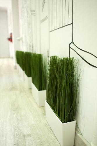 Fotos del hotel - SMART HOLIDAYS ROMA B&B