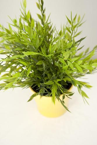 Fotos del hotel - SMART HOLIDAYS ROMA B&B