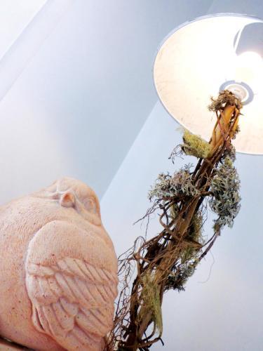 Fotos del hotel - B&B More Than Rome