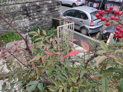 Fotos del hotel - Sweet Rome B&B
