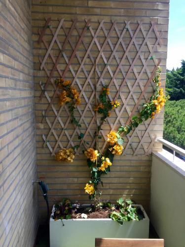 Fotos del hotel - Happy Holiday in Rome b&b