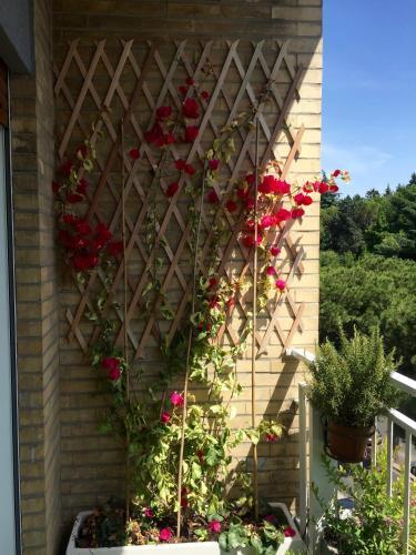 Fotos del hotel - Happy Holiday in Rome b&b