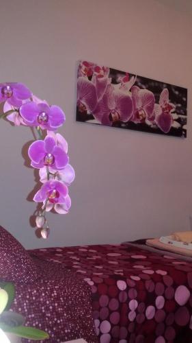 Fotos del hotel - B&B Interno 8