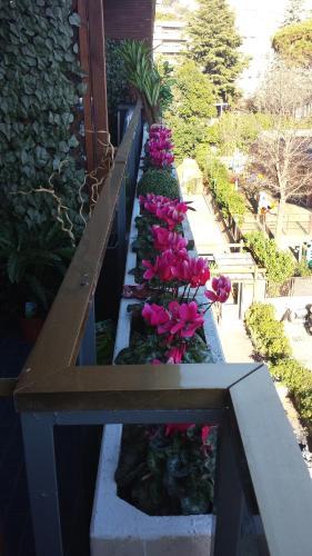 Fotos del hotel - FIORE VATICANO B&B