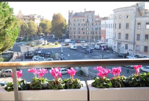Fotos del hotel - FIORE VATICANO B&B