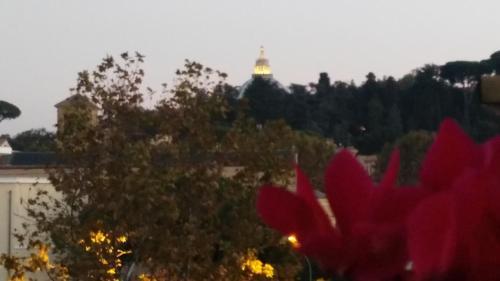 Fotos del hotel - FIORE VATICANO B&B