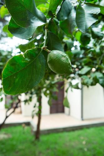 Fotos del hotel - Villino Elda