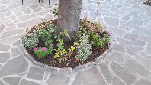 Fotos del hotel - Florence Stadium B&B